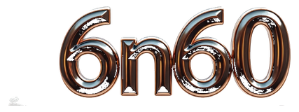 6n60 logo